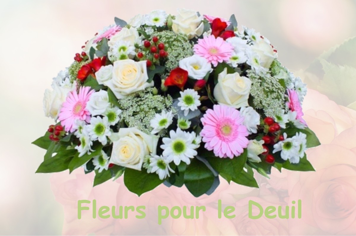 fleurs deuil SALON-LA-TOUR